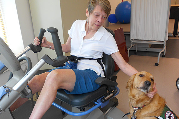 Rehabilitation Rehabilitation