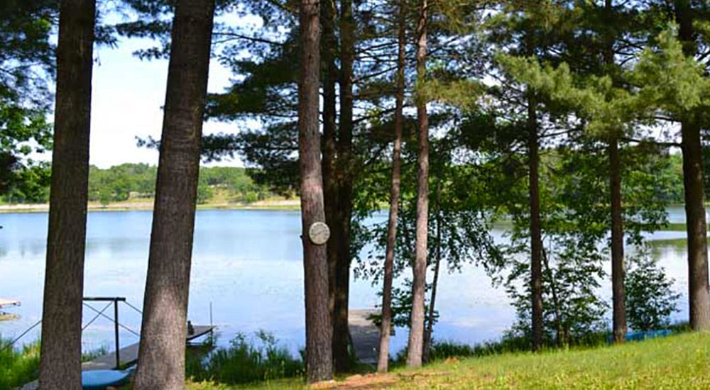 View of Shadow Lake through the trees at a Shadow Woods home